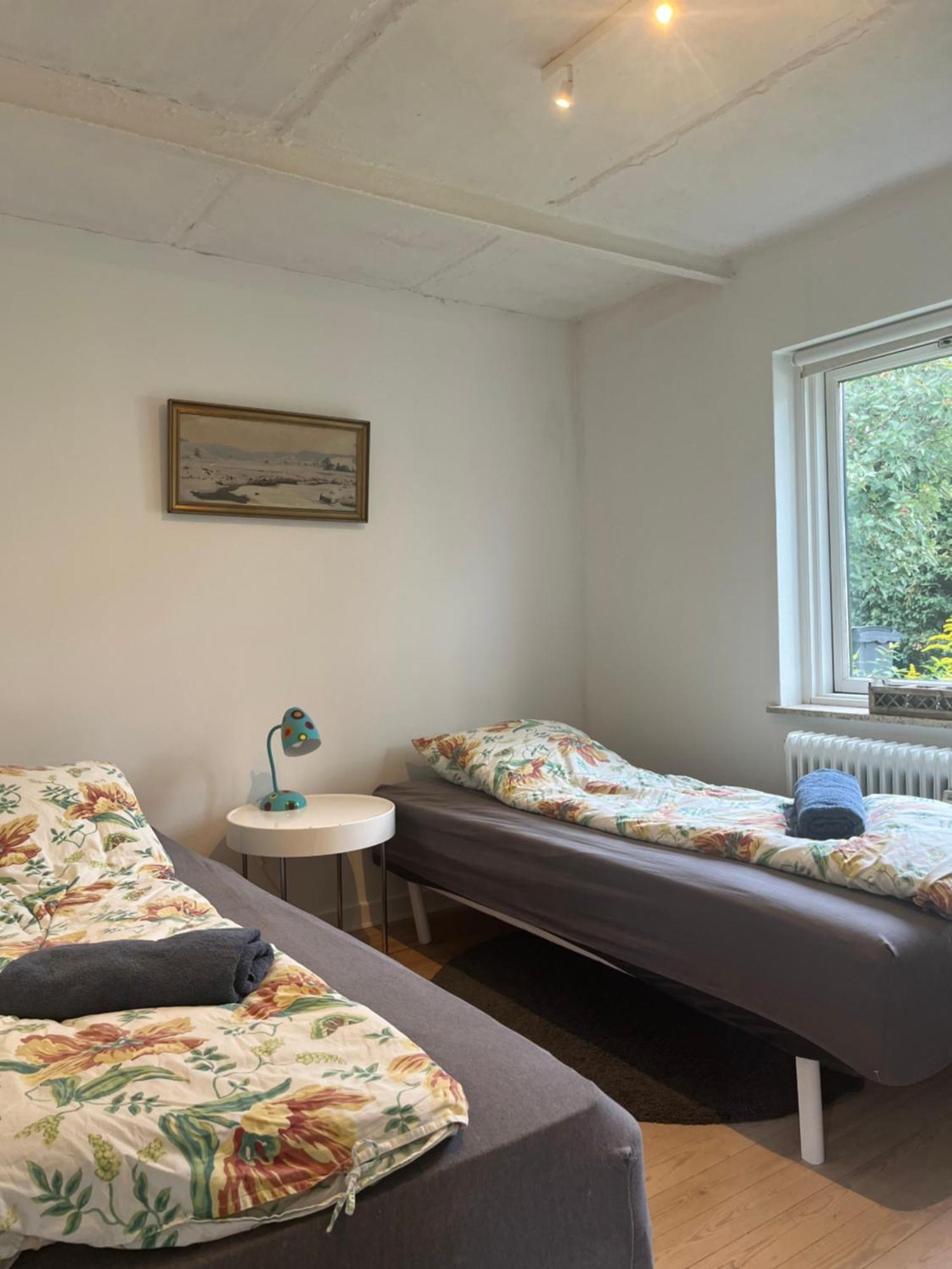 Appleflower Farm Retro Apartment Lillerod Luaran gambar